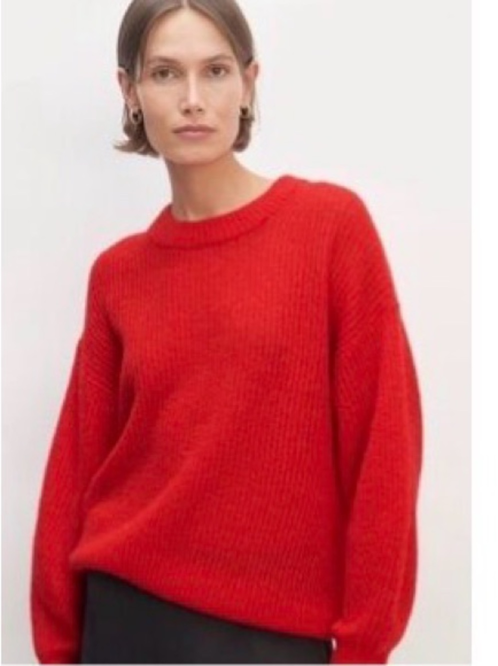 Everlane cocoon Alpaca blend Sweater